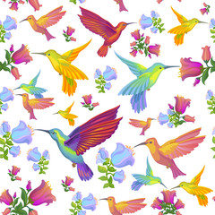 Colibri - humming-birds pattern background