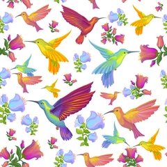 Fotobehang Vlinders Colibri - kolibries patroon achtergrond