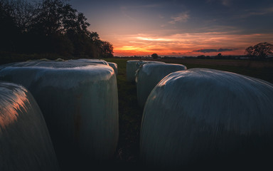 Heuballen im Sonnuntergang an einem Bauernhof