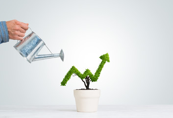 Concept of investment income and growth with tree in pot
