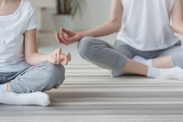 cropped shot of mother and daughter meditating in lotus pose together