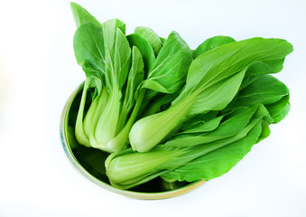 Fresh green vegetable bok choy or chinese cabbage in a bowl isolated with white baackground