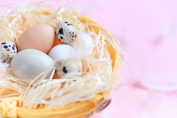 Different colors easter eggs, quail eggs and white feathers on pastel pink background, top view. Easter holiday concept. Close up.