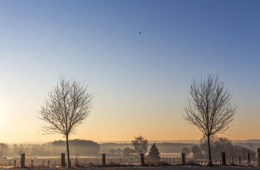 Winter Landschaft im Sonnenaufgang mit Bäumen