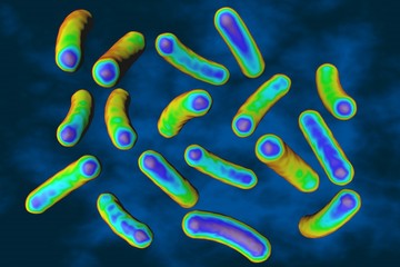 Colorful bacteria on blue background, 3D illustration