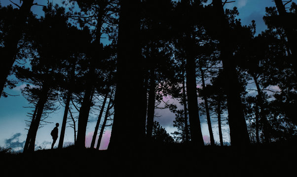 Silhouette in dark forest