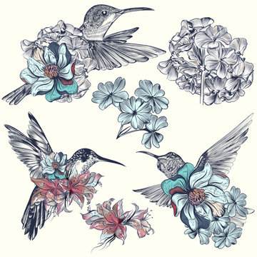 Collection of beautiful vector hummingbirds with flowers