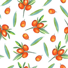 Sea buckthorn branch with ripe berries, berries and leaves, seamless pattern design, hand painted watercolor illustration, white background