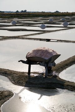 wooden wheelbarrow in front of salt marshes in Noirmoutier, France