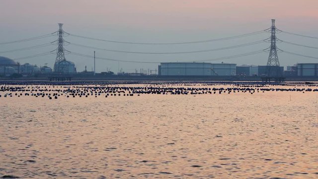 Oil refinery light river front reflection at twilight, industrial landscape background