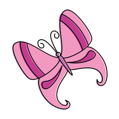 butterfly flying decorative frame vector illustration design