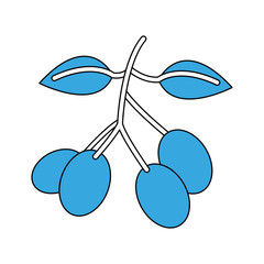 Coffee beans symbol icon vector illustration graphic design