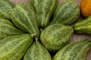Ornamental Pumpkins