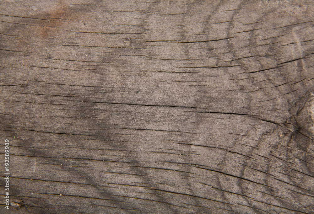 Wall mural wooden texture as background