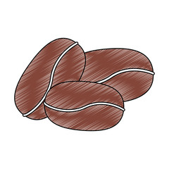 Coffee beans symbol icon vector illustration graphic design