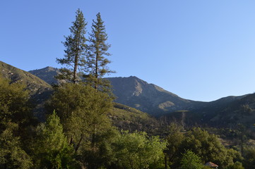Fototapeta premium Yosemite National Park. CA