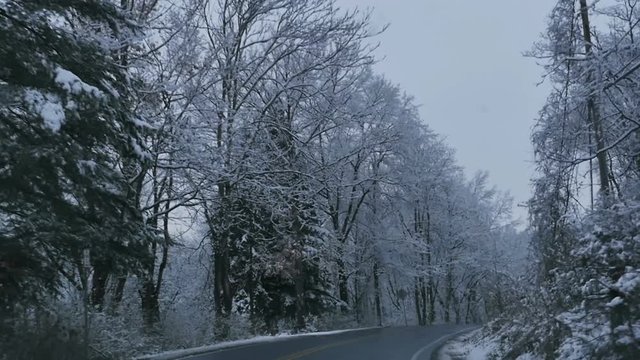 2860 Driving in a Winter Wonderland with Trees in Slow Motion