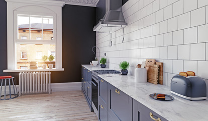 modern kitchen interior.