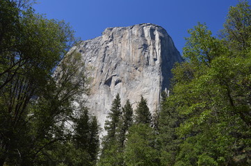 Yosemite National Park. CA