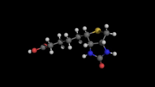 biotin molecule model rotating, also known as vitamin b7 or H. It is important in fatty acid synthesis