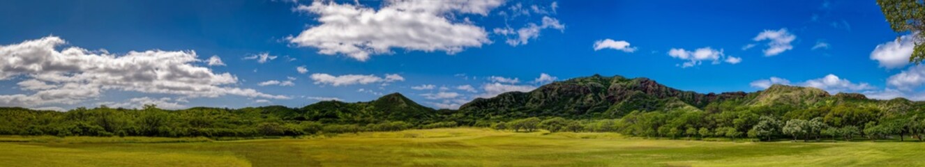 Panoramic view of a forest near Diamond Head in Oahu Hawaii 