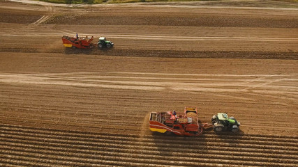 Farm machinery harvesting potatoes. Farmer field with a potato crop.