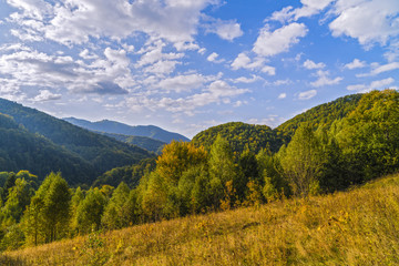Fototapeta na wymiar landscape with hills forested autumn