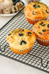 Freshly baked cheesy spinach bread on a white stone backdrop. Rustic style.