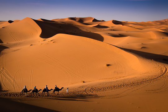 Caravan in Sahara
