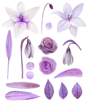 Fototapeta Purple flowers clipart. Watercolor lilac floral bouquet clip art 