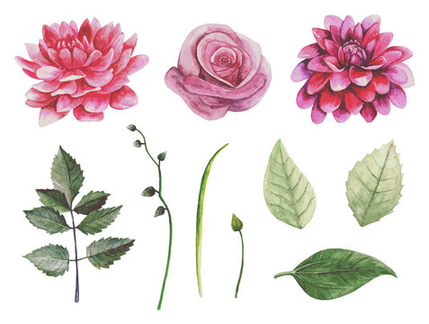 Boho flowers. Botanical clip art. Watercolor retro floral