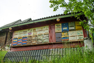 Beautiful colorful beekeepers hive.