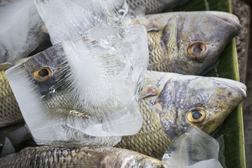 variety of fresh fish seafood in market closeup background