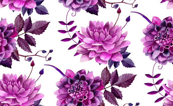Watercolor purple dahlias flowers pattern. Floral background © Ann_ka