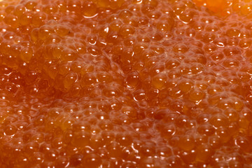 A very close up of Pike Raw Roe