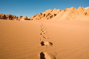 Foto auf Acrylglas Footprints at Valle de la Muerte (spanish for Death Valley) also known as La Cordillera de la Sal (spanish for salt mountain range), San Pedro de Atacama, Atacama Desert, Chile, South America © Jose Luis Stephens