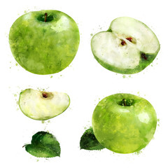 Green Apple on white background. Watercolor illustration