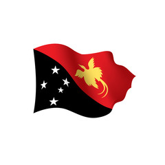 Papua New Guinea flag, vector