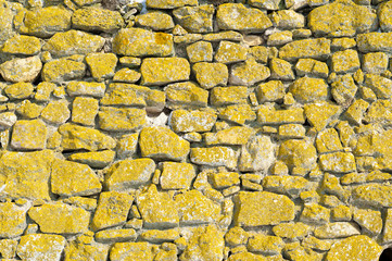 Old Wall Texture
