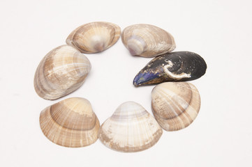 Abstract concept of DIFFERENT