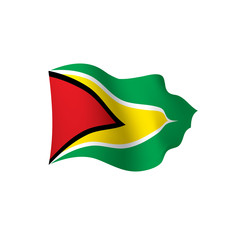 Guyana flag, vector illustration