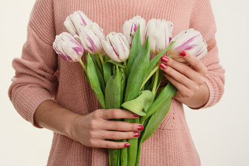 tender spring tulips in gentle female hands.