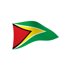 Guyana flag, vector illustration