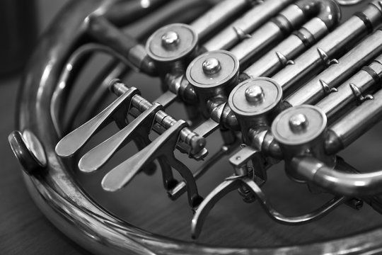 Fragment of French horn in closeup in black and white tones