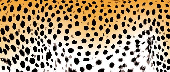 Print leopard pattern texture orange black cheetah © kimfoto1986
