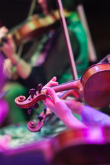  Violins in the hands of musicians in the symphony orchestra © furtseff