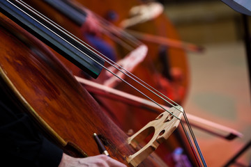 Fragment of a double bass in an orchestra closeup