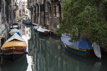 Fototapeta na wymiar Venezia ed i Canali
