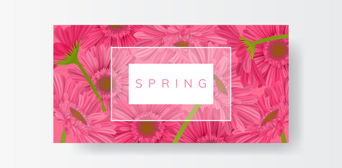 Horizontal pink banner full with pink gerbera daisy flower, paper on grey background. Vector illustration for spring and nature frame design