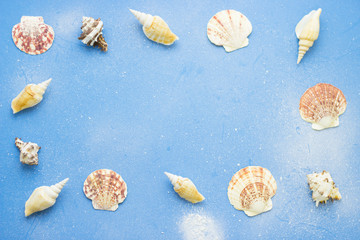 Sea background framed with shells. Central space for text or product display.